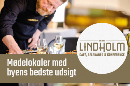HC-Lindsholm-case-600x400